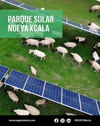 Nueva Xcala