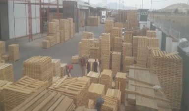 Clausura PROFEPA establecimiento con madera aserrada en Tlaxco