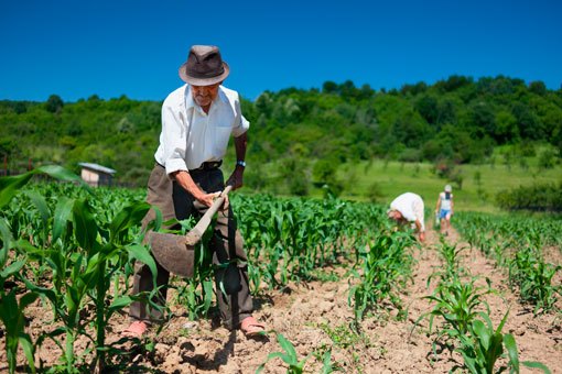 Ofertan en Tzompantepec créditos a negocio por hasta 230 mil pesos