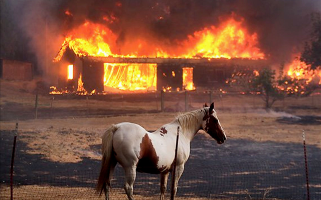 Incendian corral de caballos en Yauhquemehcan