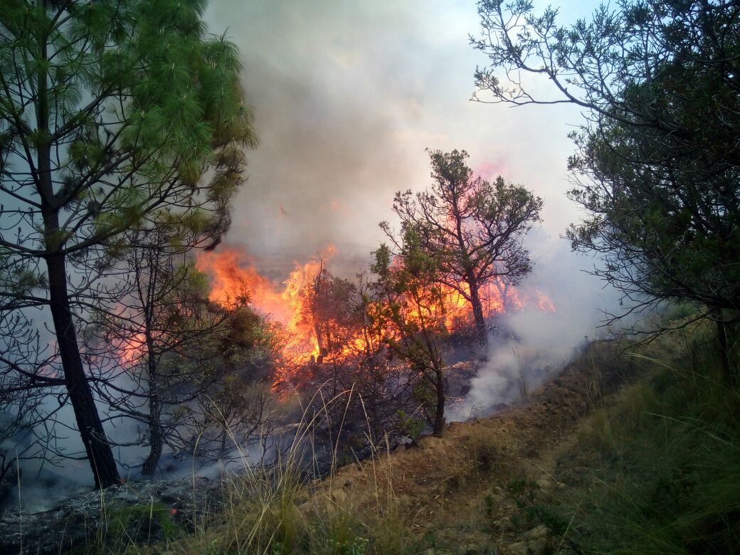 Atienden incendio fuera de control en Xaltocan