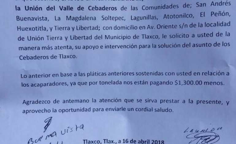 Piden apoyo productores de cebada contra acaparadores