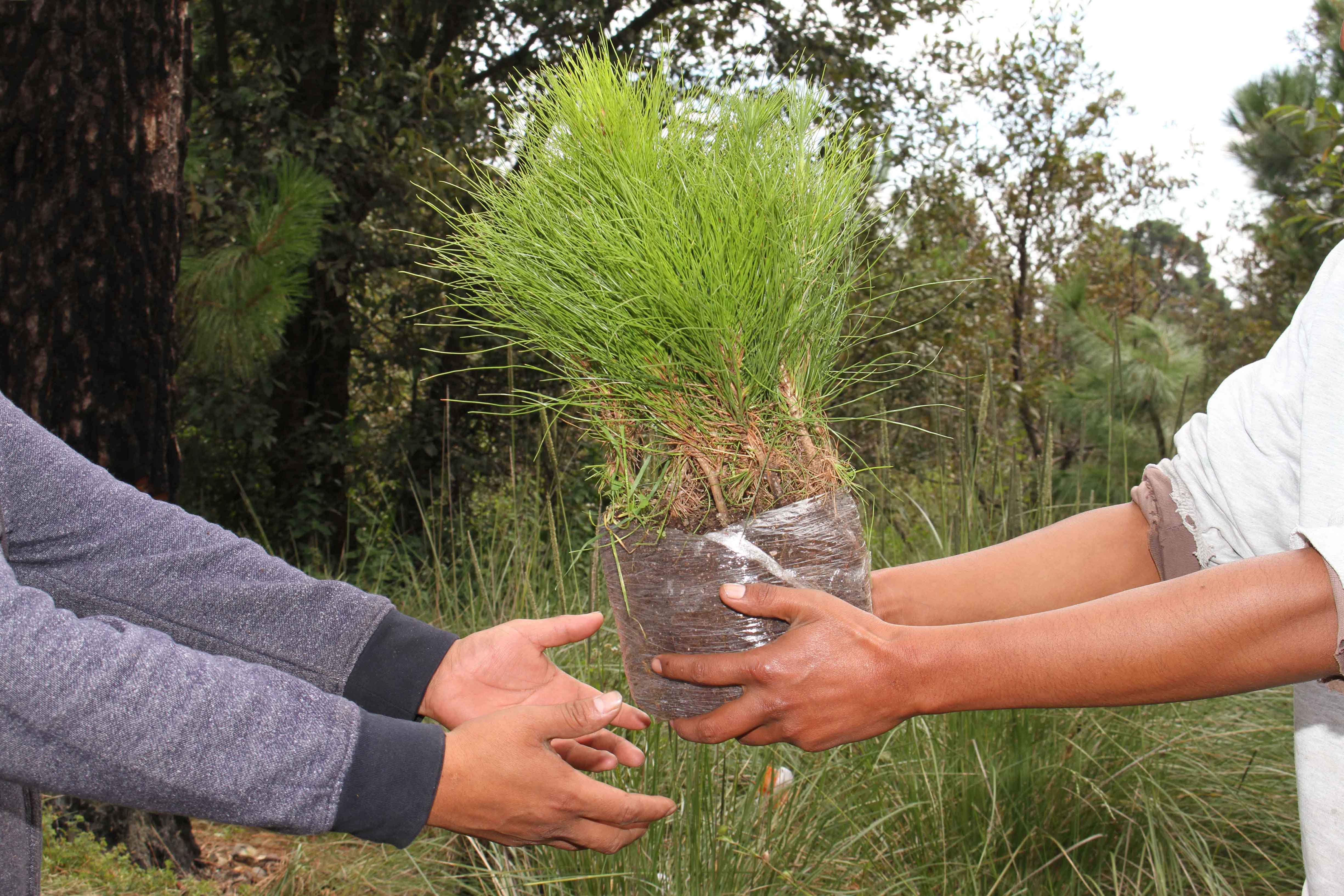 Emite CGE recomendaciones para el cuidado del medio ambiente