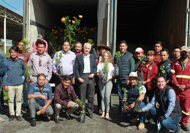 Recibe Chiautempan cuatro mil árboles y plantas de la Fundación Grupo México