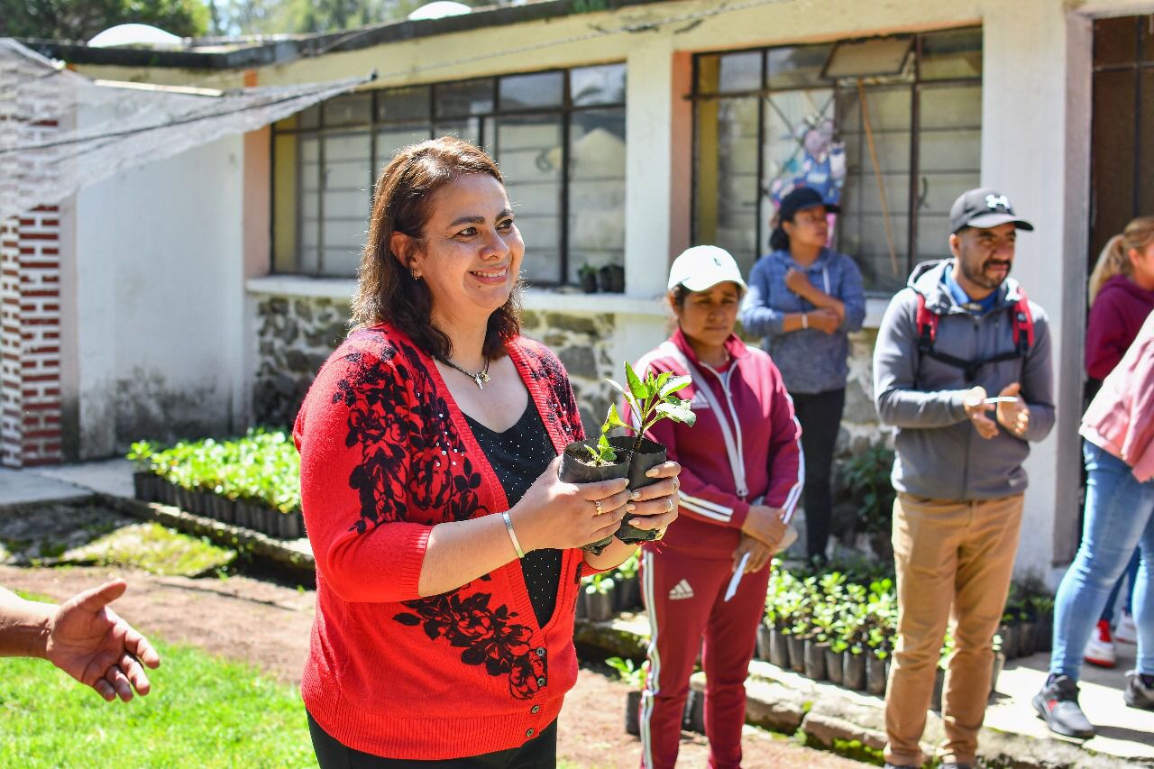 Ayuntamiento de Huamantla entrega mil 500 plantas de dalia para impulsar la agricultura familiar