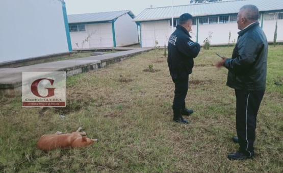 Roban en Cecyte 31 de Papalotla; el velador se quedó dormido, dice