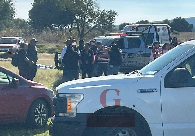 Hombre de la tercera edad  muere tras ser atacado por enjambre de abejas, en Ixtenco