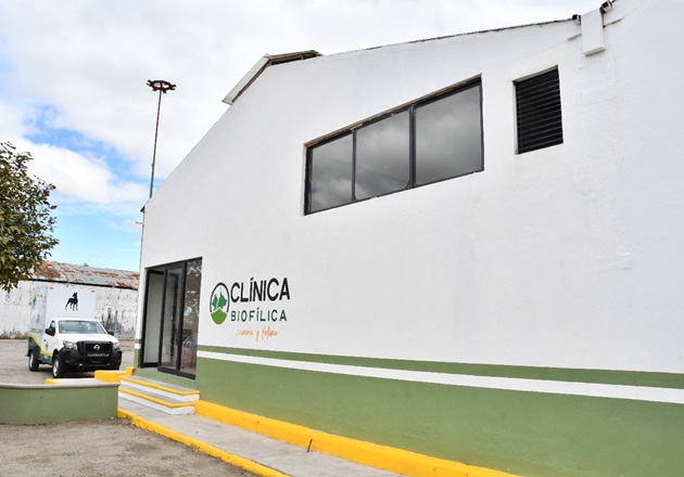 Clínica Biofílica: Un año de acciones en favor de la salud animal en Huamantla