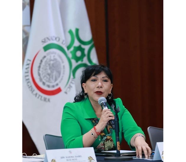 Cuestiona Anabell Ávalos estrategia de seguridad del gobierno federal