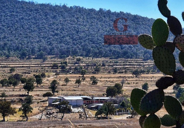 Reincidencia criminal: Desmantelan nuevo laboratorio de drogas en Rancho de Tlaxco