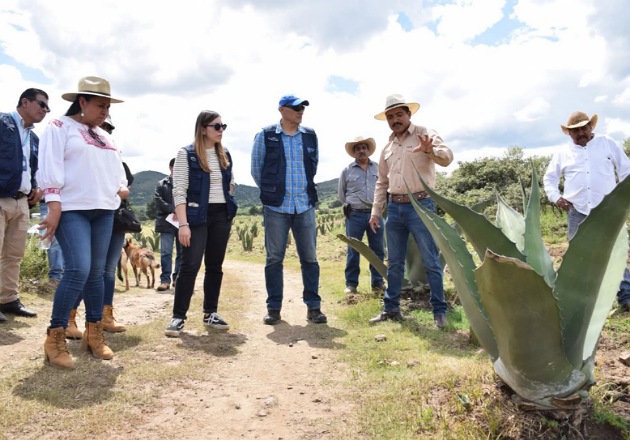 En visita a Tlaxcala, especialista de la FAO confirma riqueza del metepantle