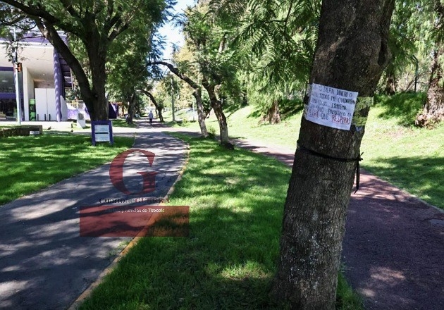 Con moños negros y cartulinas usuarios del Parque de la Juventud se oponen a derribo de árboles