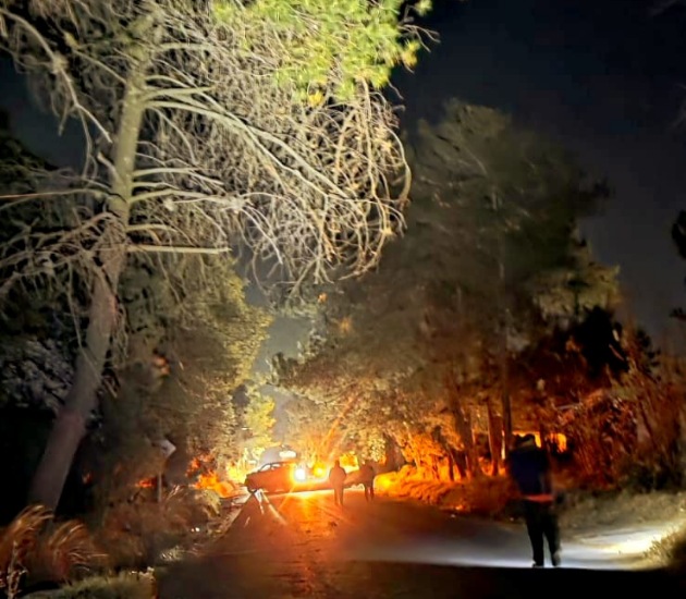 Protección Civil de Chiautempan retira árbol derribado por viento  entre Xochiteotla y Tepatlaxco