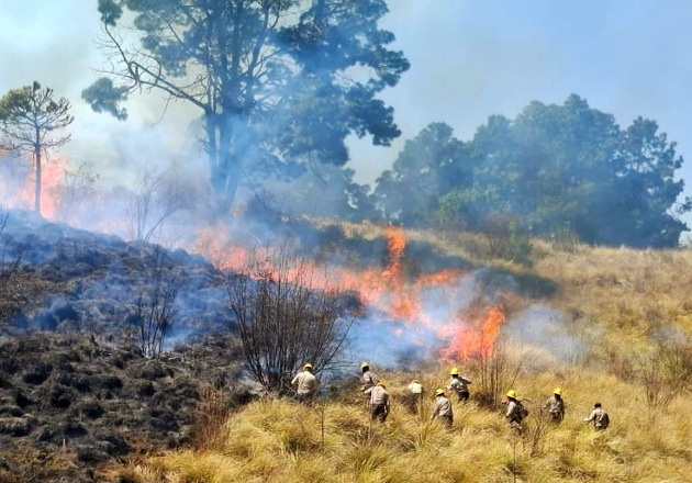 Habrá sanciones a quienes resulten responsables de provocar incendios: Blanca Angulo
