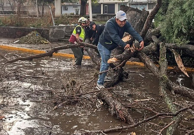 Brigadas de ‘Más territorio y menos escritorio’ responden ante nueva precipitación pluvial y reportan mínimas afectaciones en la capital