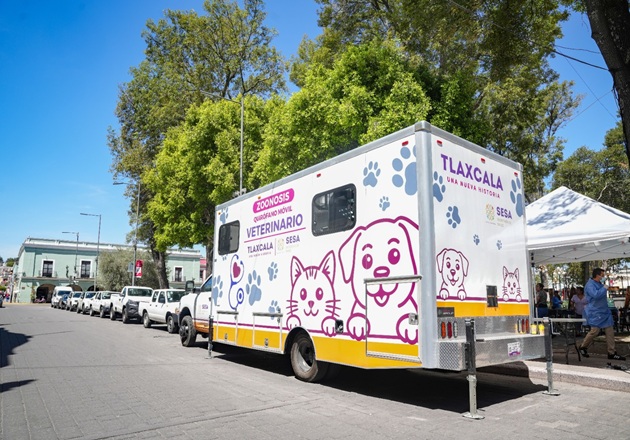 Habrá más jornadas gratuitas de esterilización en la capital tras éxito de primera campaña impulsada por Alfonso Sánchez