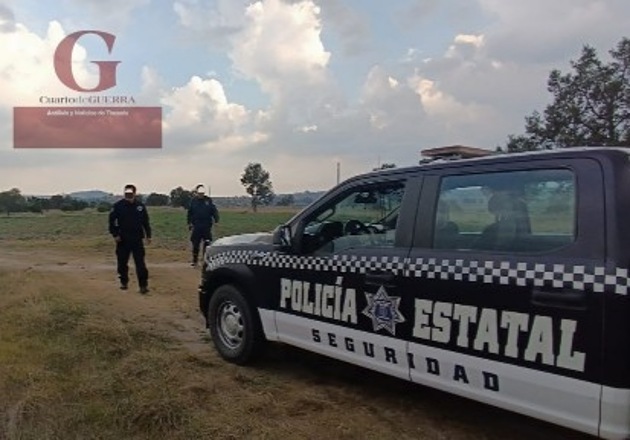 Amarran a pastor para robarle 38 borregos, en Hueyotlipan; vecinos y policía rescatan 12