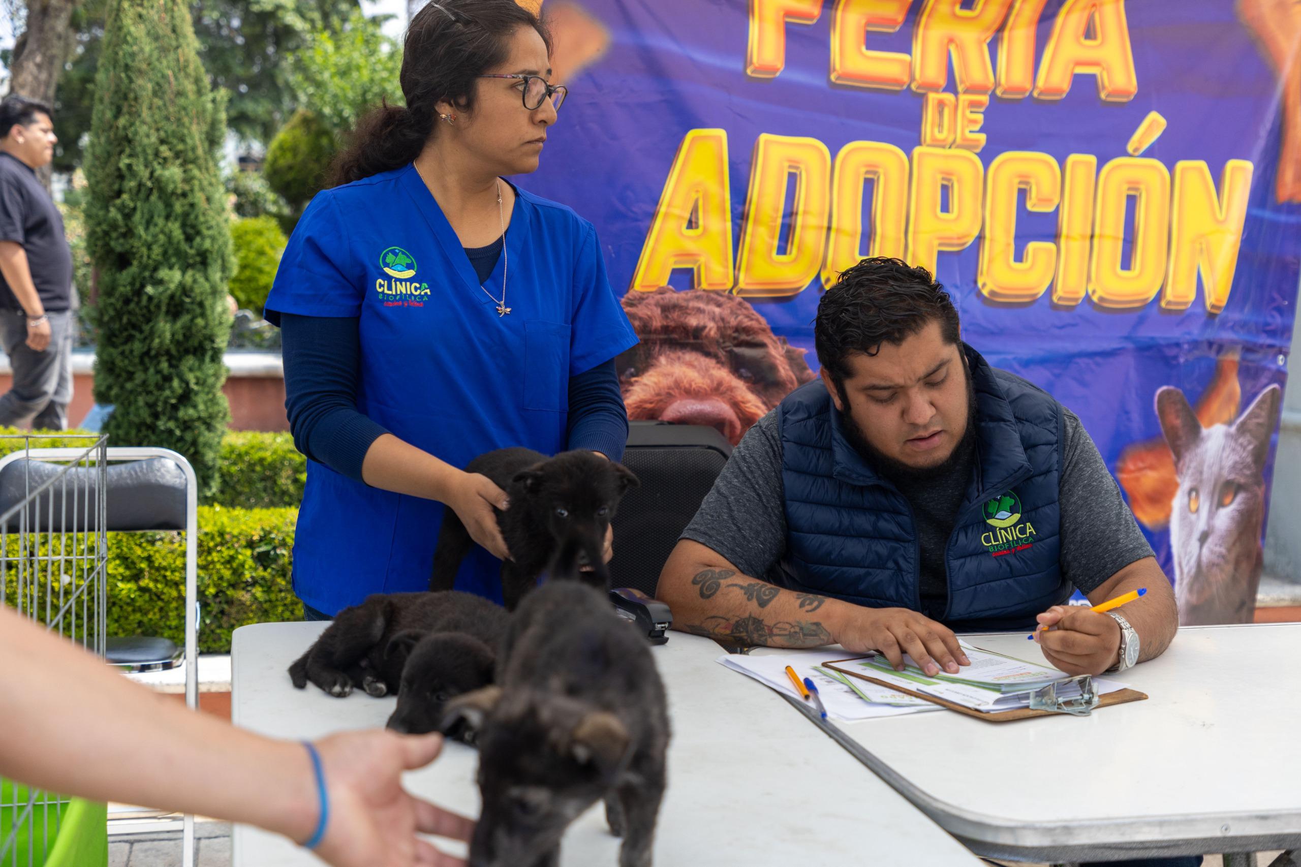 ‘Adopta un amigo’ cambia historias y encuentra nuevos hogares para 12 perritos en Huamantla