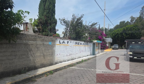 Denuncian intensificación de guerra sucia contra Ana Lilia Rivera; brigadas blanquean bardas y arrecian ataques en redes